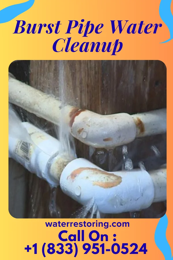 Burst Pipe Water Cleanup in Mentone, IN